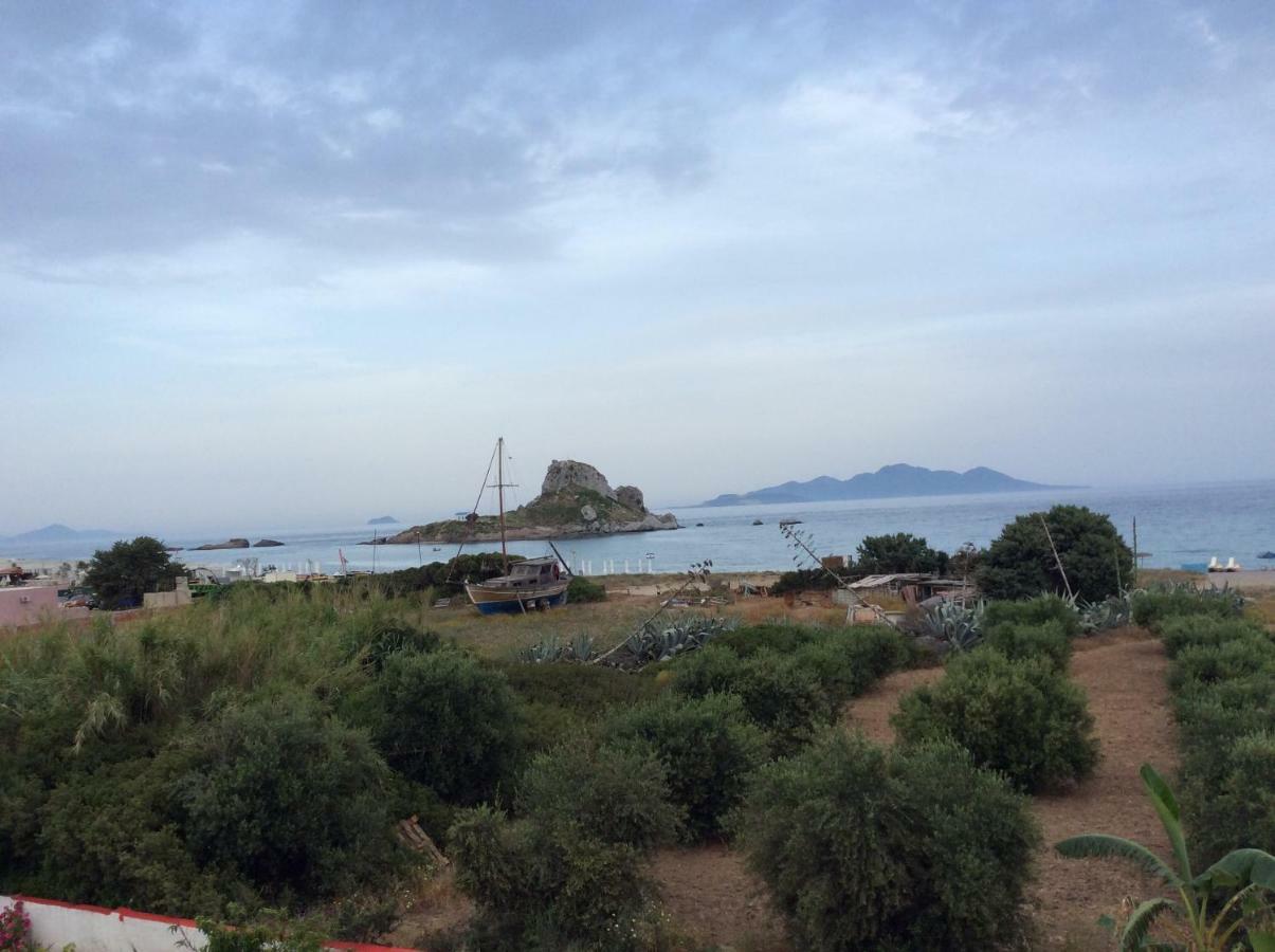 Soula Kaliva * Κέφαλος
